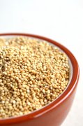 Le quinoa, un substitut de pain à découvrir